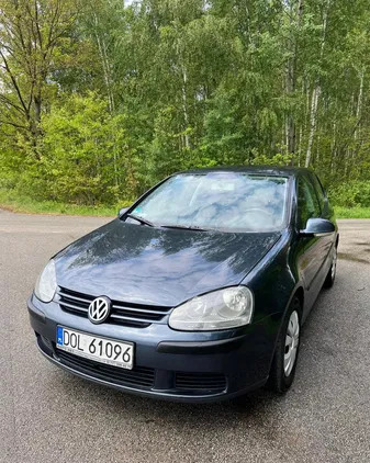 volkswagen golf Volkswagen Golf cena 8200 przebieg: 360000, rok produkcji 2004 z Brzeg